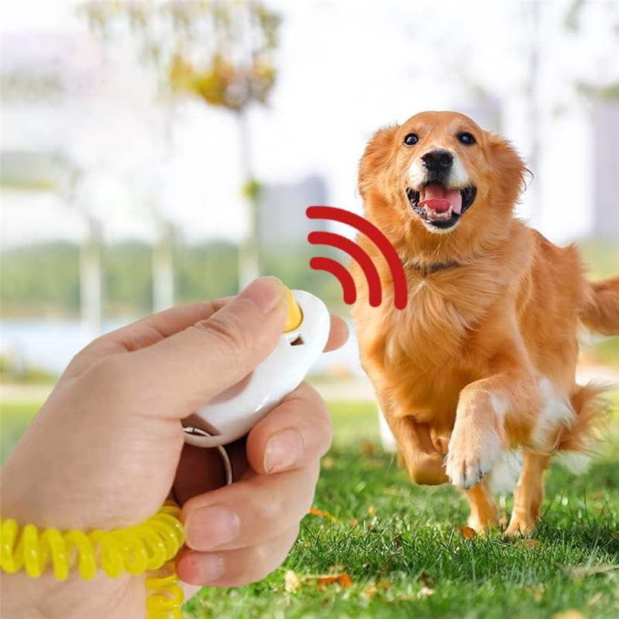 Köpek Eğitim Aleti
