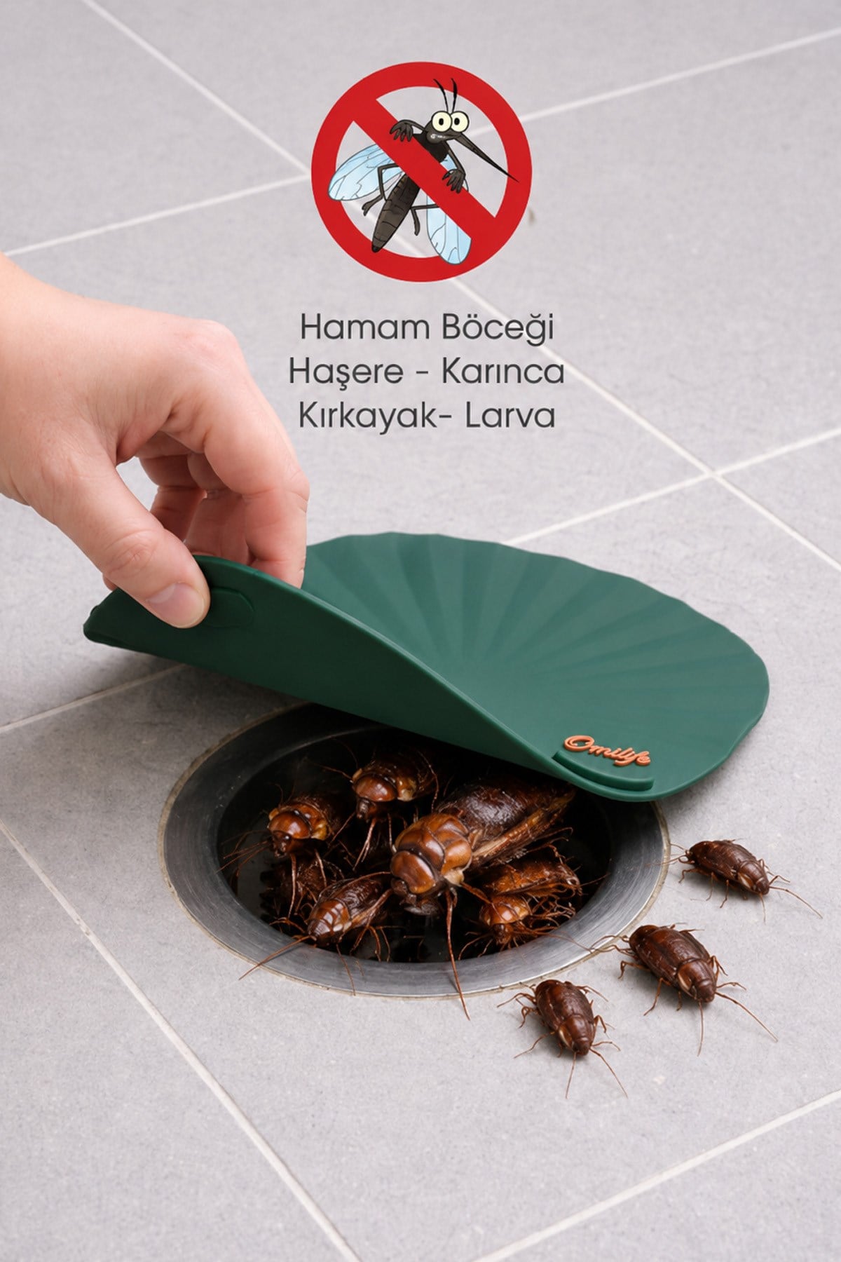 Yeşil Renk Deniz Kabuğu Kötü Koku Önleyici Silikon Mat Desen Banyo Mutfak Lavabo Balkon Tıkaç Kapağı