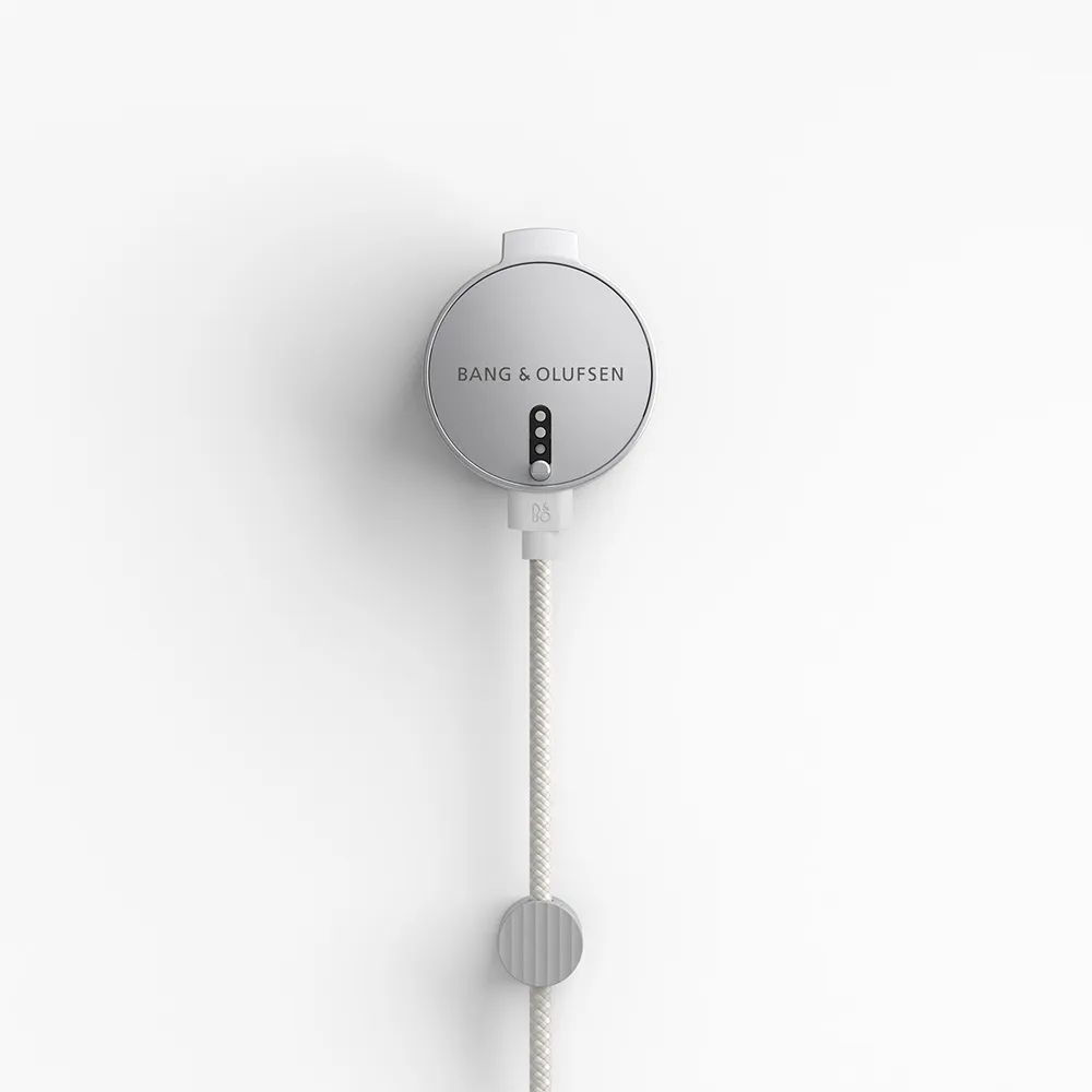 Bang & Olufsen Beosound Level Taşınabilir Multiroom Kablosuz Hoparlör Altın / Meşe Ağacı