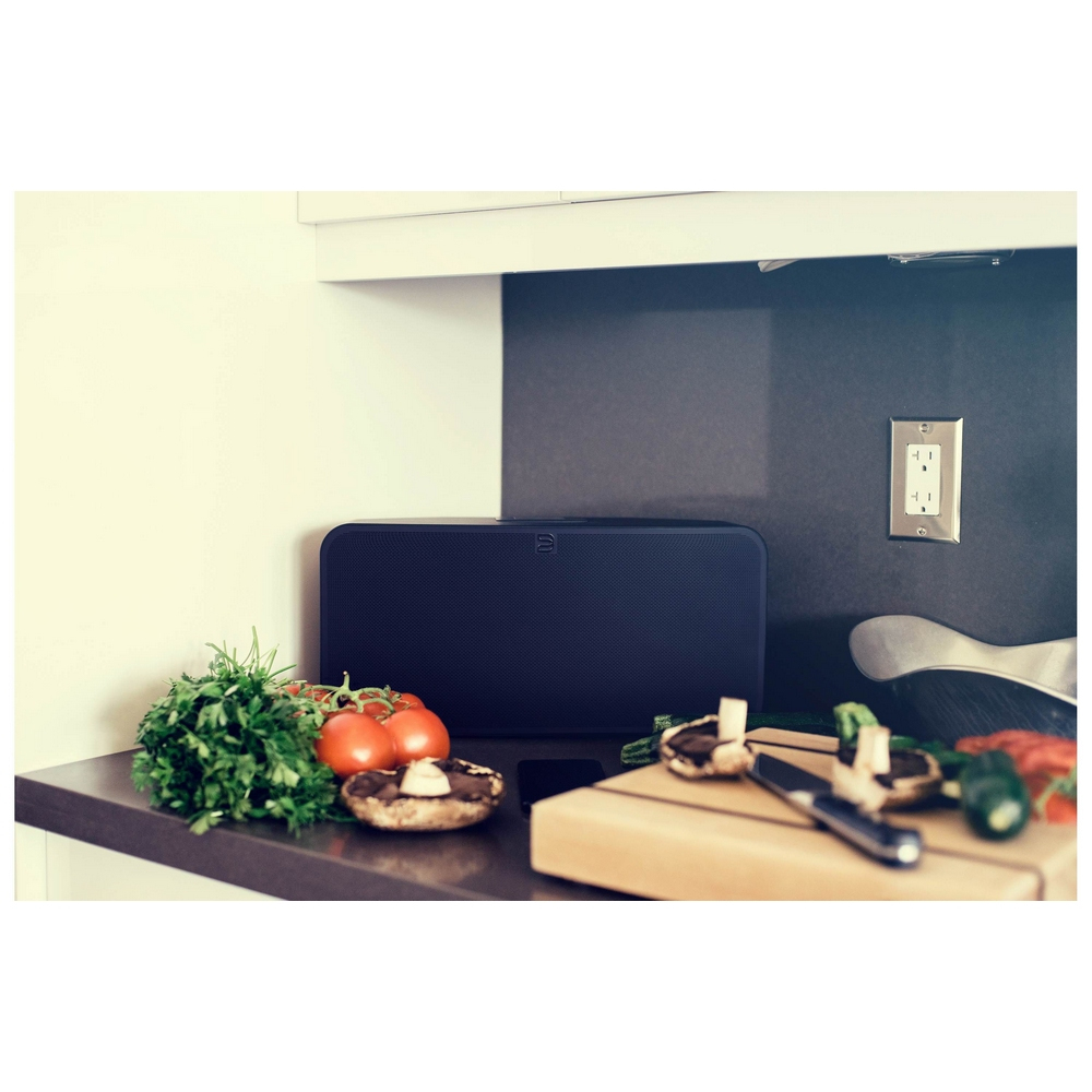 Bluesound PULSE 2i Kablosuz Hoparlör Siyah