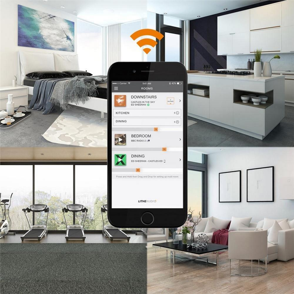 Dali Callisto 2C Kablosuz Hoparlörler