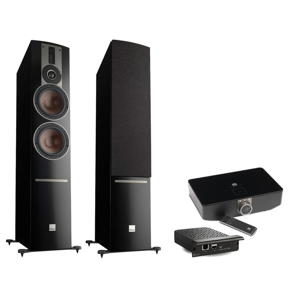 Dali Rubicon 6 C Kablosuz Premium Aktif Hoparlör