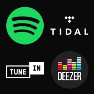 Lithe Audio WiFi Multi-Room AirPlay  6.5