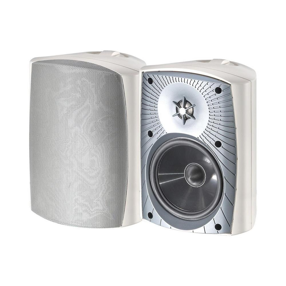 MartinLogan ML-55AW Outdoor Hoparlörler