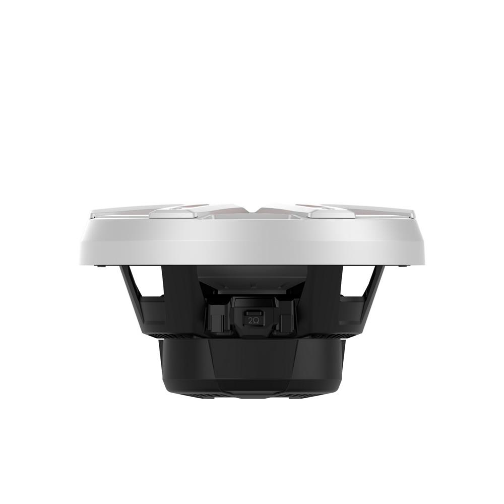 Rockford Fosgate M2D4-10I 10