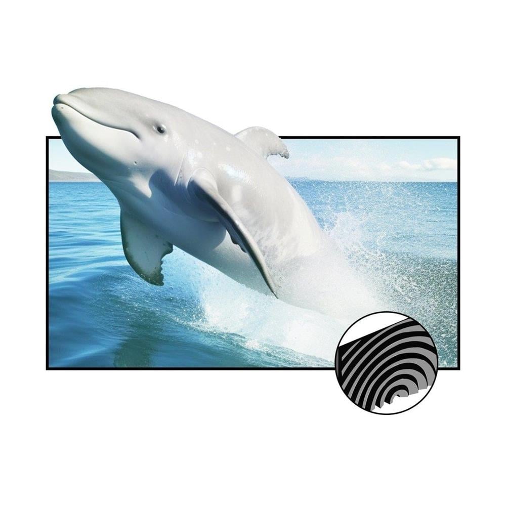 Vividstorm CineVision Pro Fixed Frame UST ALR Perde 100