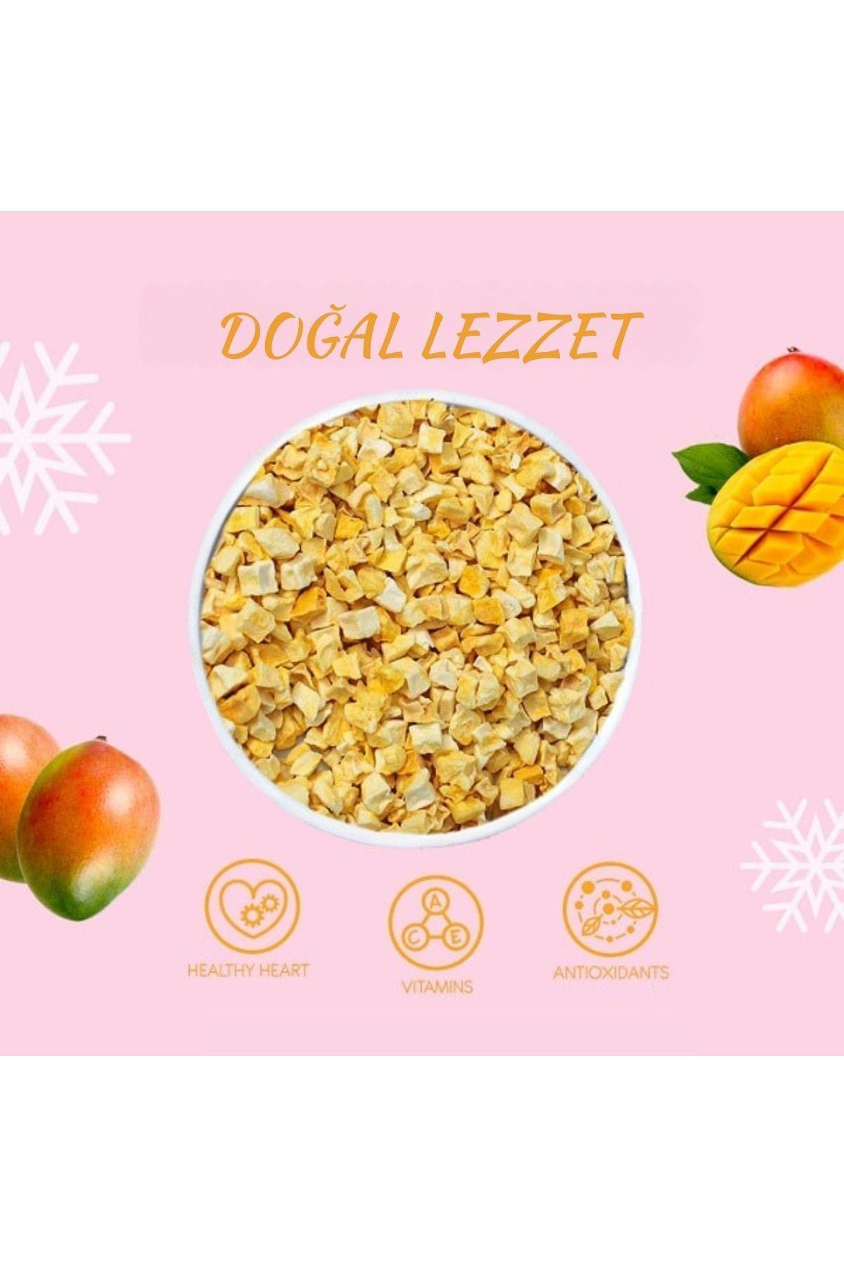 Madame Lyras Freeze Dry Mango 16 Gr