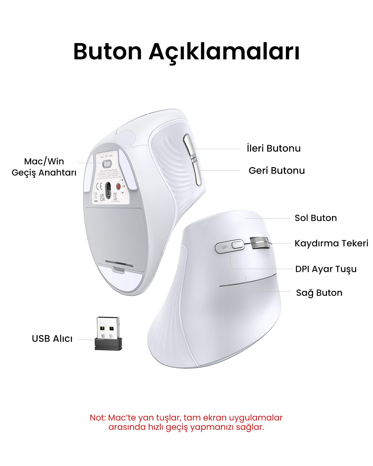 UGREEN Dikey Ergonomik Fare Kablosuz (BT 5.0+2.4G)