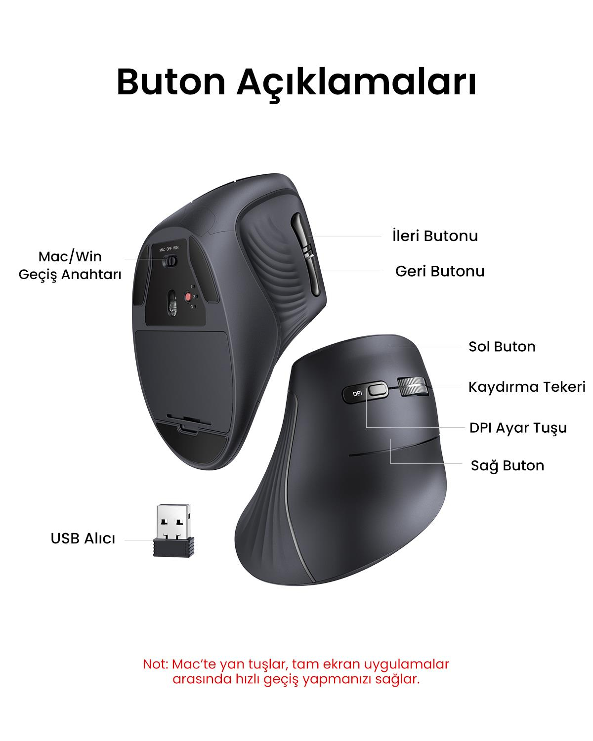 UGREEN Dikey Ergonomik Fare Kablosuz (BT 5.0+2.4G)
