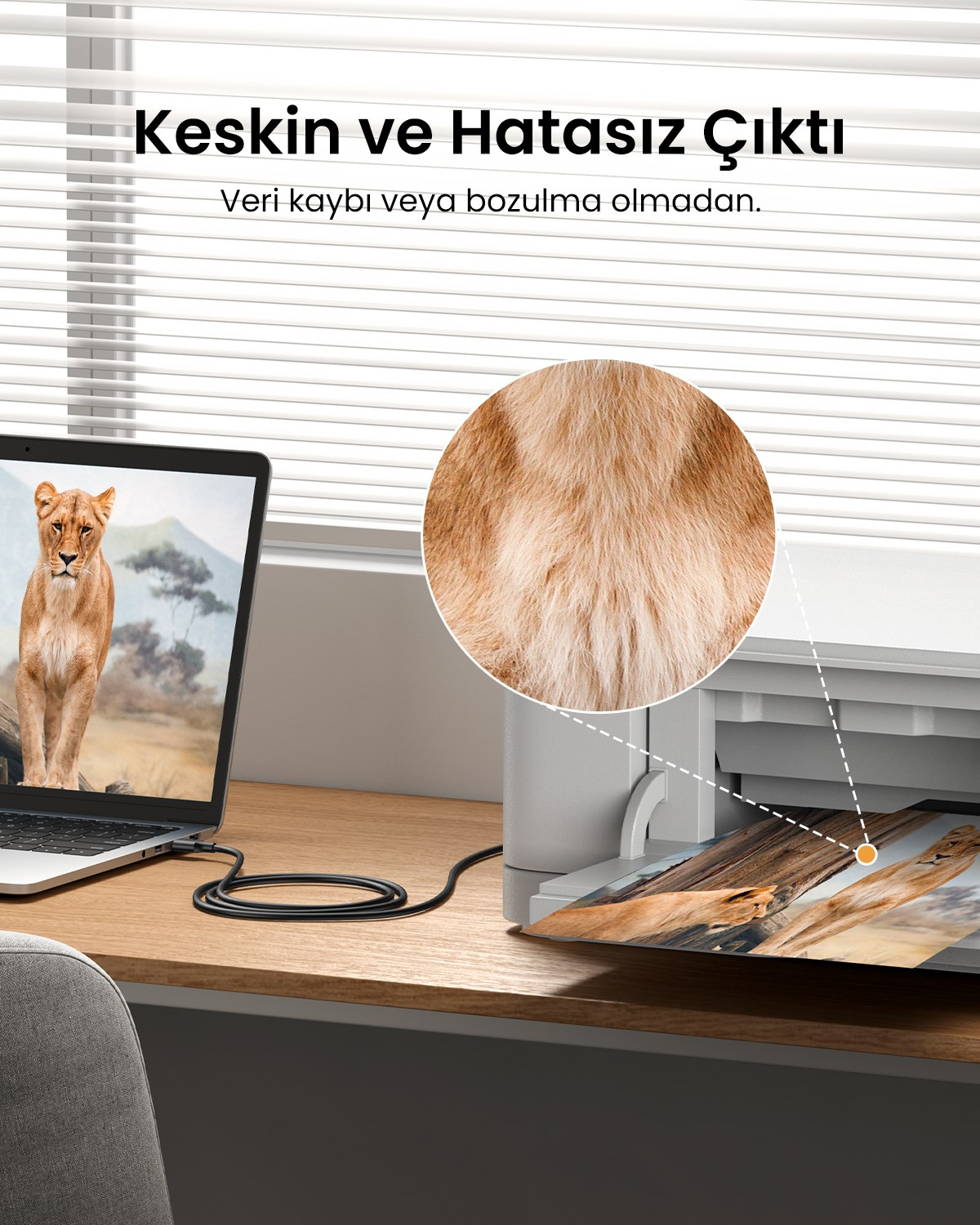 UGREEN USB den USB-B ye Yazıcı Tarayıcı Kablosu, 1.5 Metre, 10350