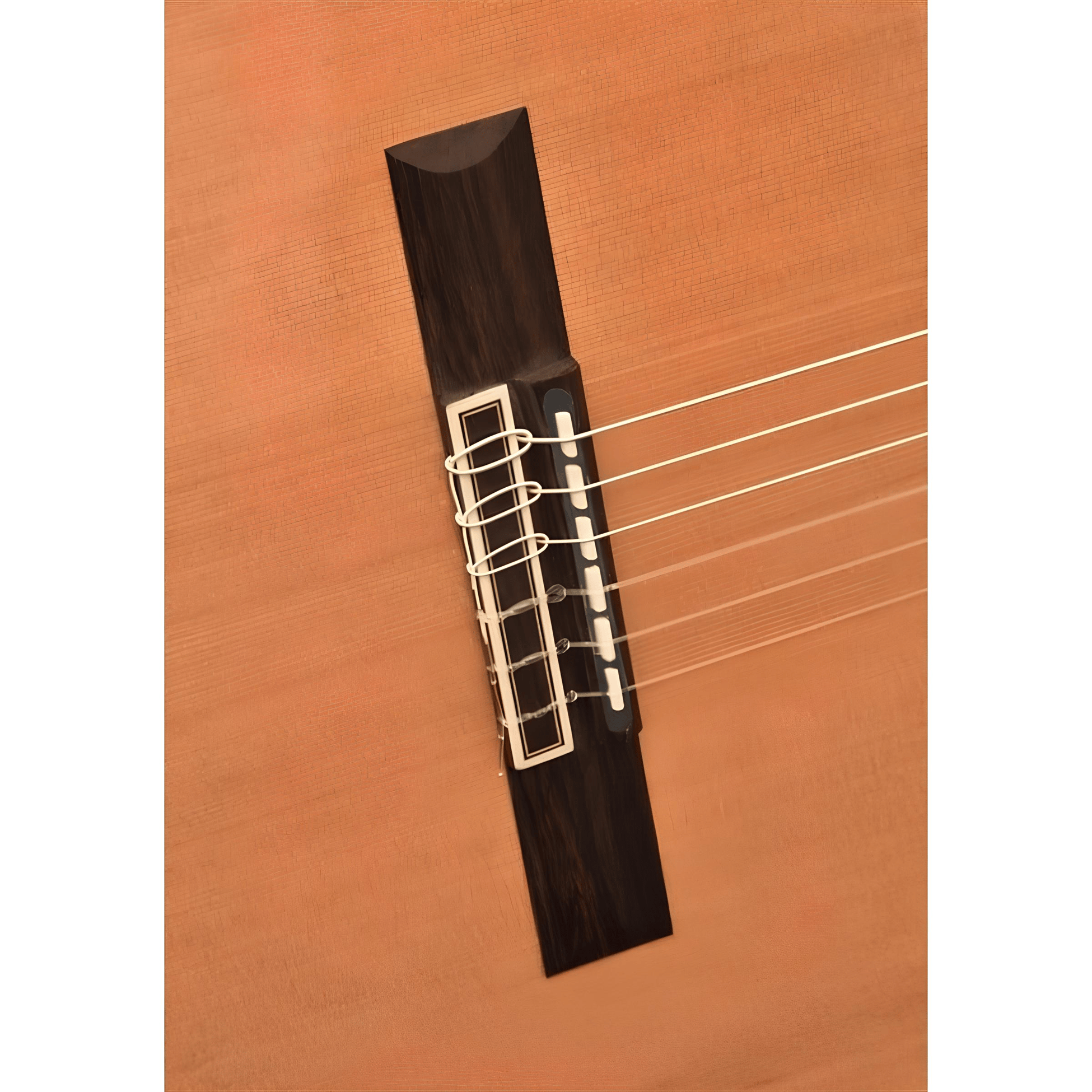 Camps CUT-900CLH PRO-BLEND Elektro Klasik Gitar