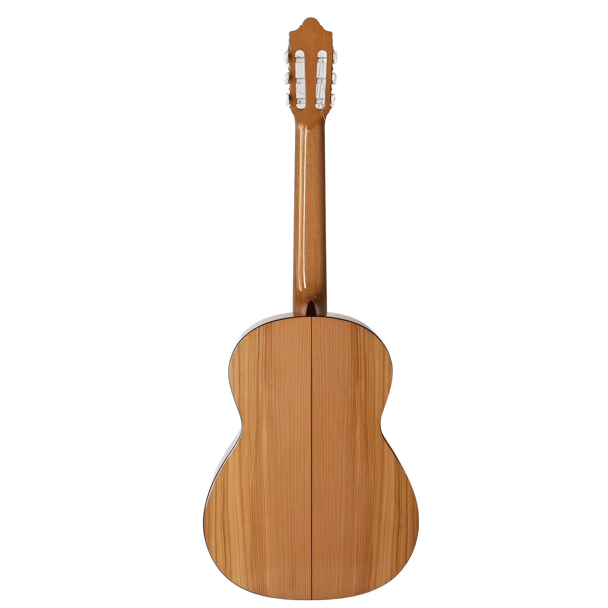 CAMPS M-5-S FLAMENCO GUITARS