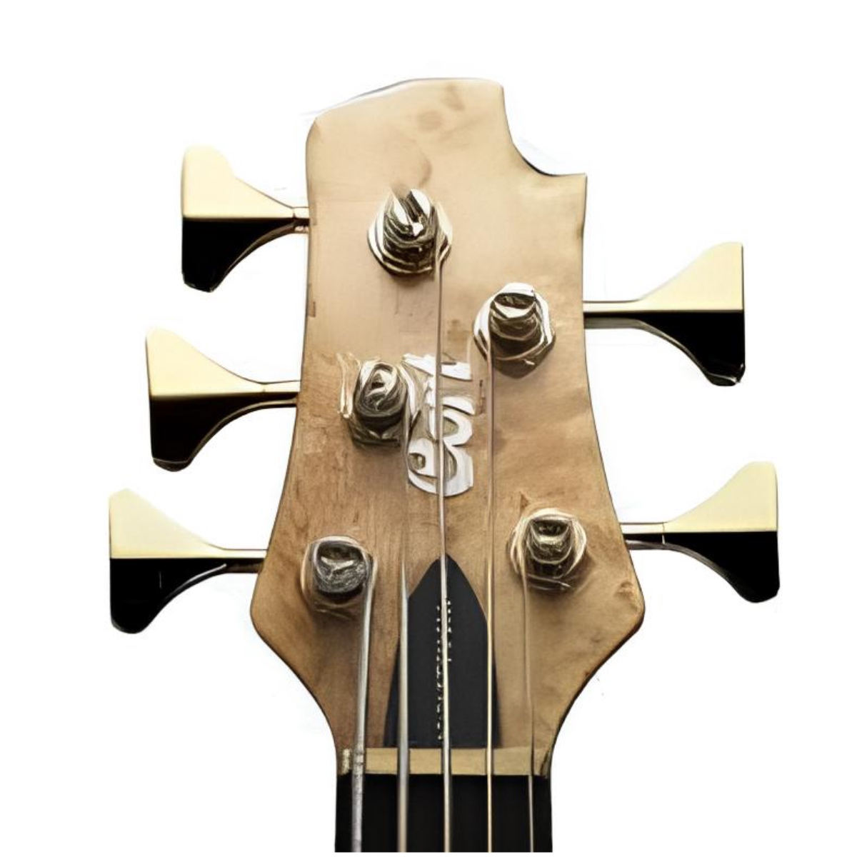 CORT A5 CUSTOM 20THNAT BAS GİTAR 5 TELLİ