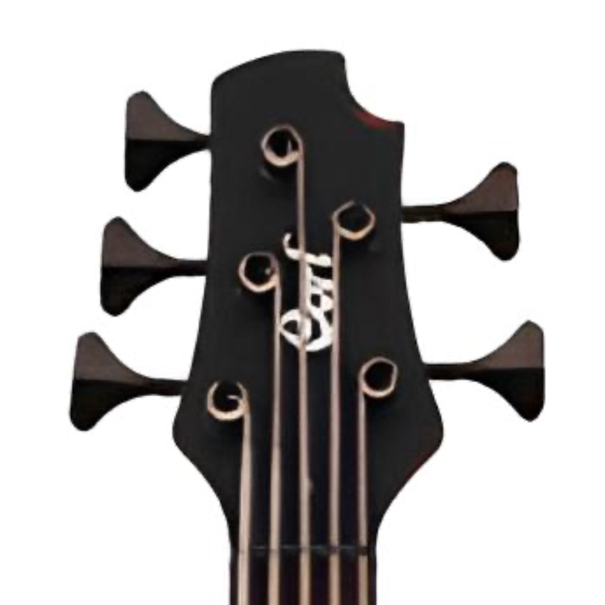 CORT B5TAB BAS GİTAR 5 TELLİ
