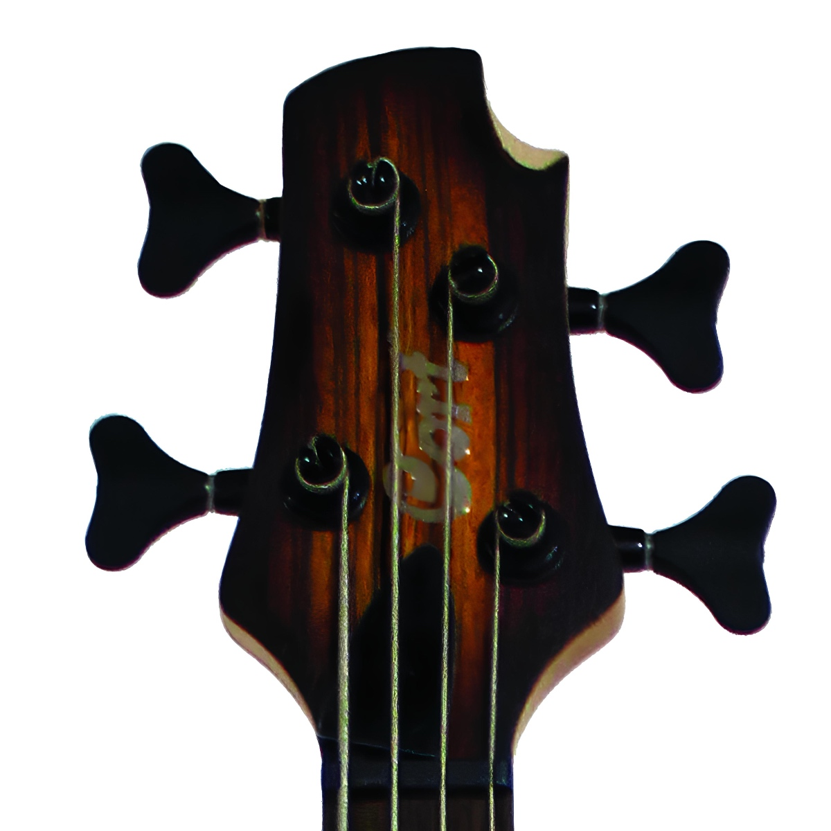 CORT C4PLUS ZBMH OTAB BAS GİTAR 4 TELLİ