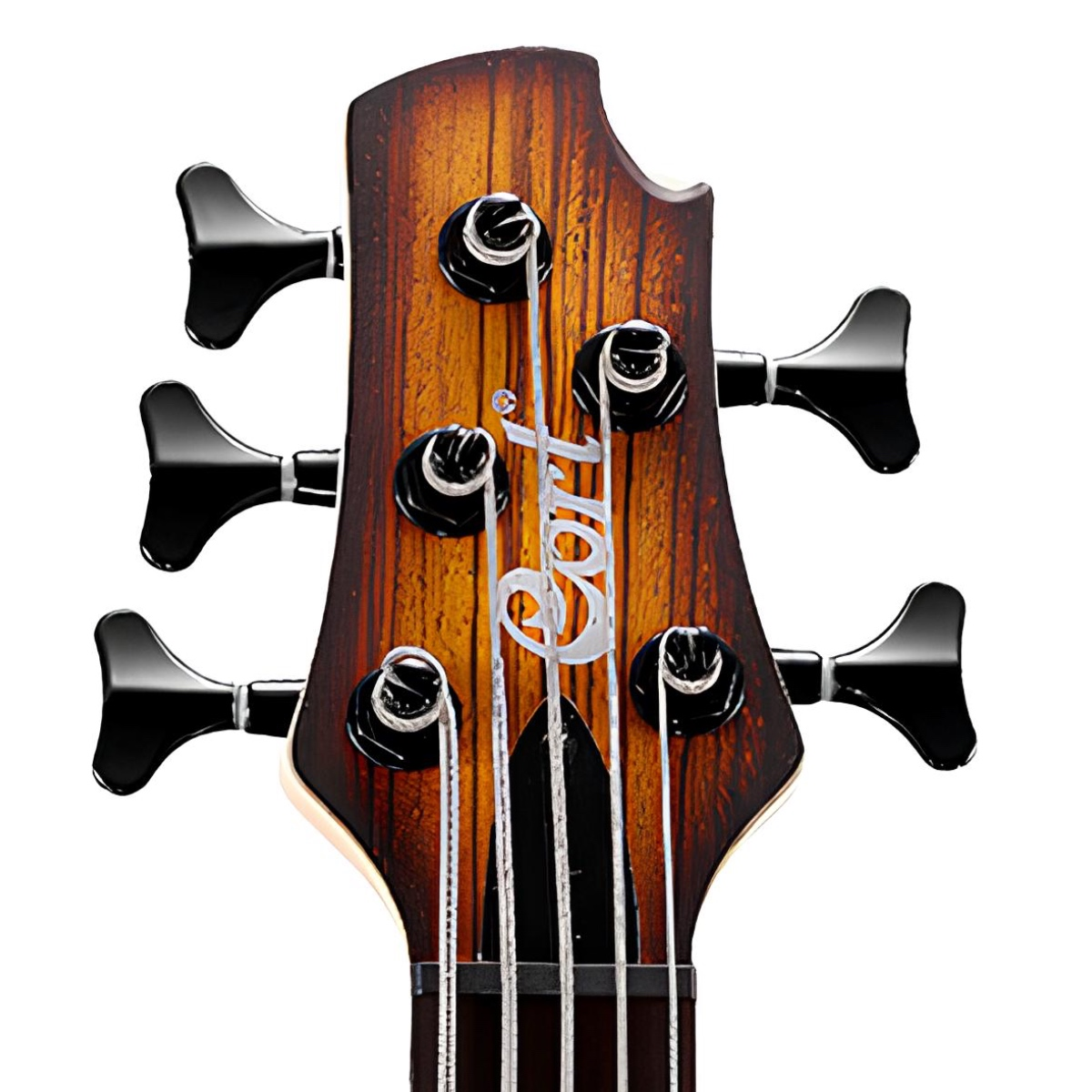 CORT C5PLUS ZBMH OTAB BAS GİTAR 5 TELLİ