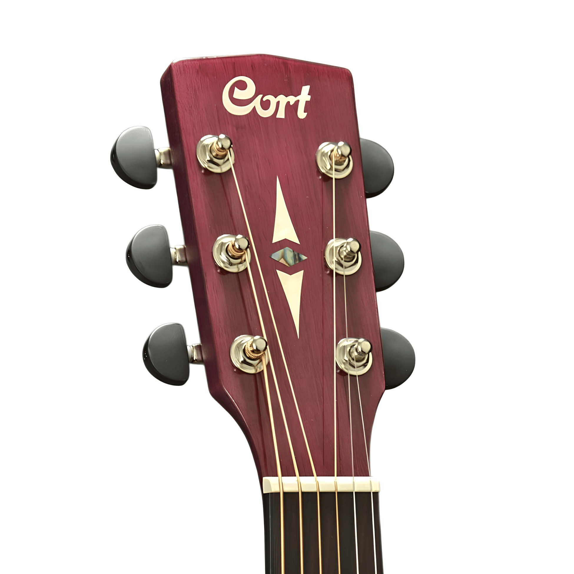 Cort EARTH70TP AKUSTİK GİTAR