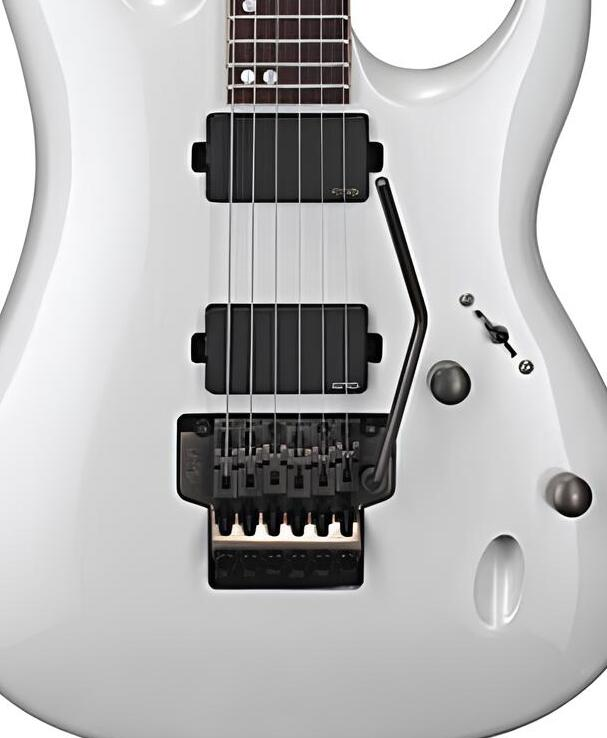 CORT VIVA-CUSTOM WP ELEKTRO GİTAR