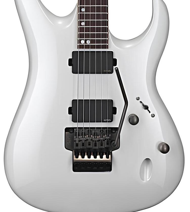 CORT VIVA-CUSTOM WP ELEKTRO GİTAR