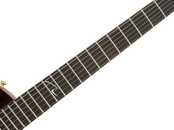 CORT ZCUSTOMBS ELEKTRO GİTAR