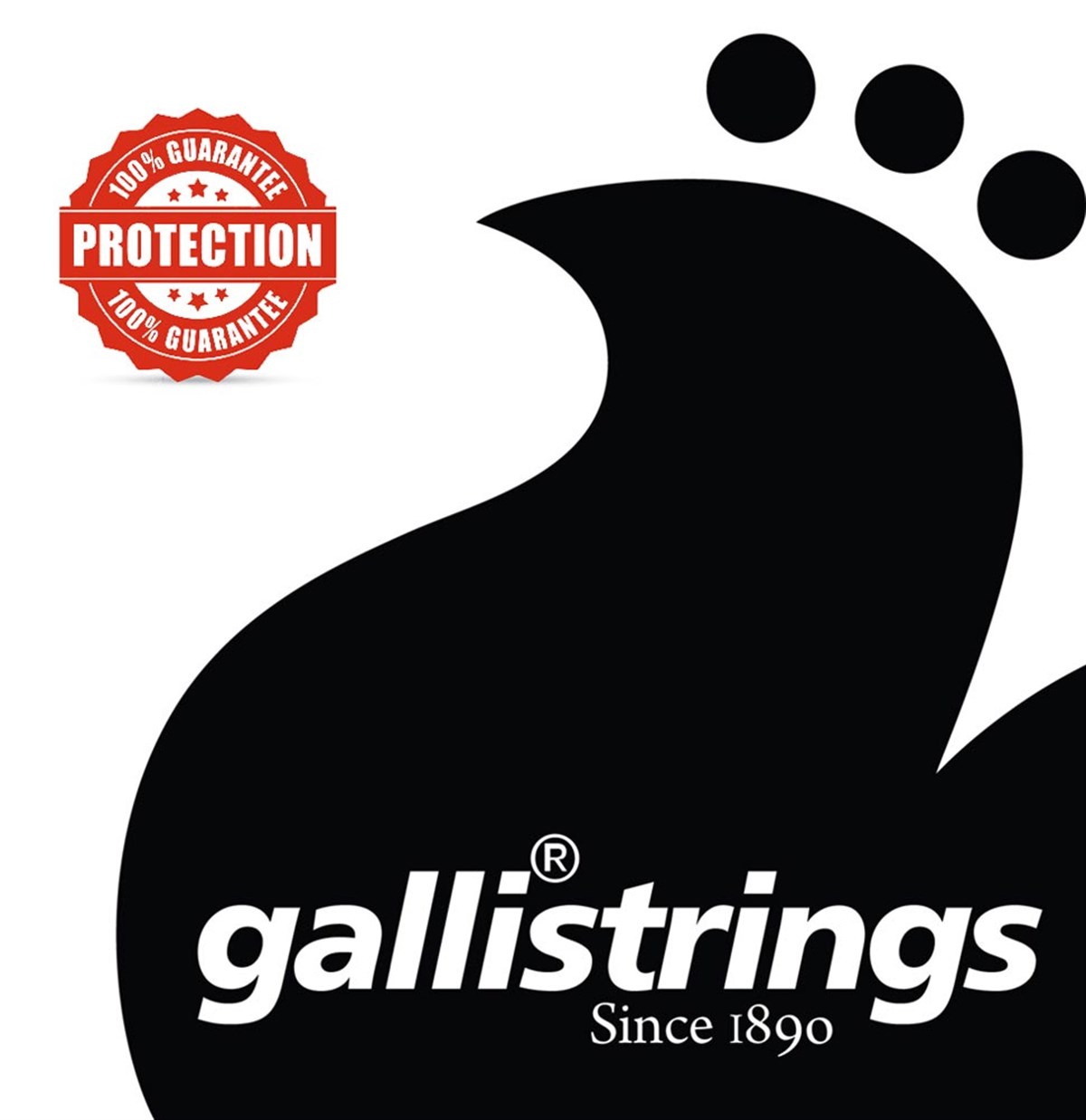 Galli Lg-50 Klasik Gitar Teli Normal Tension