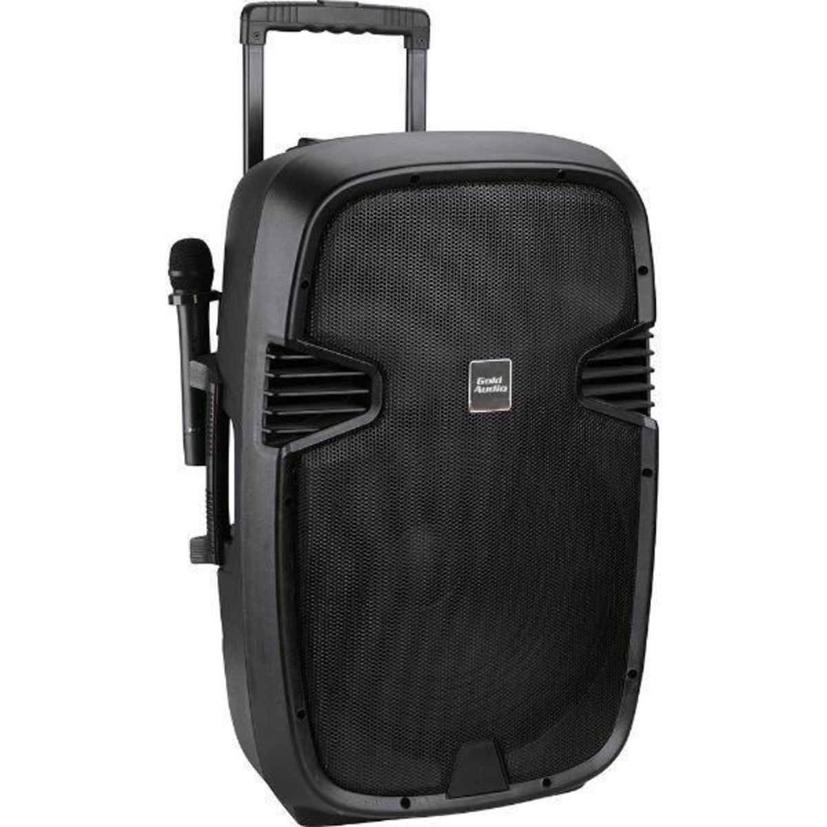 Gold Audio PA 8812 EE 12