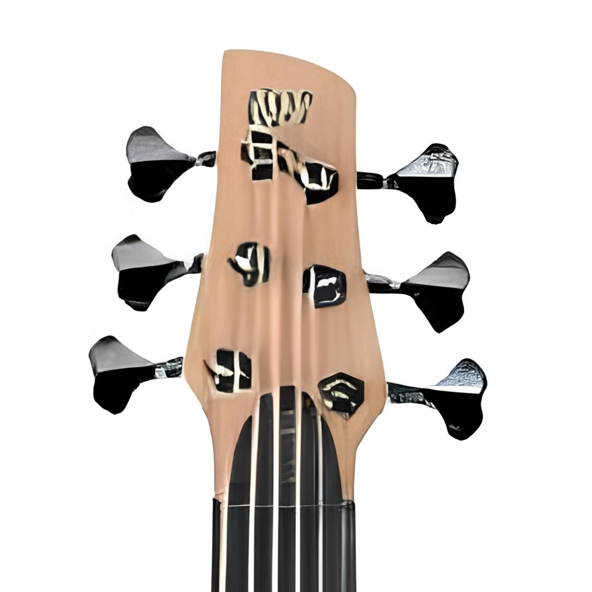 IBANEZ SR1006EFMNTF BAS GİTAR 6 TELLİ KUTULU