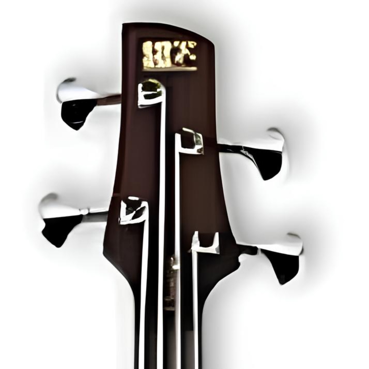 IBANEZ SR4000E-SDR BAS GİTAR KUTULU