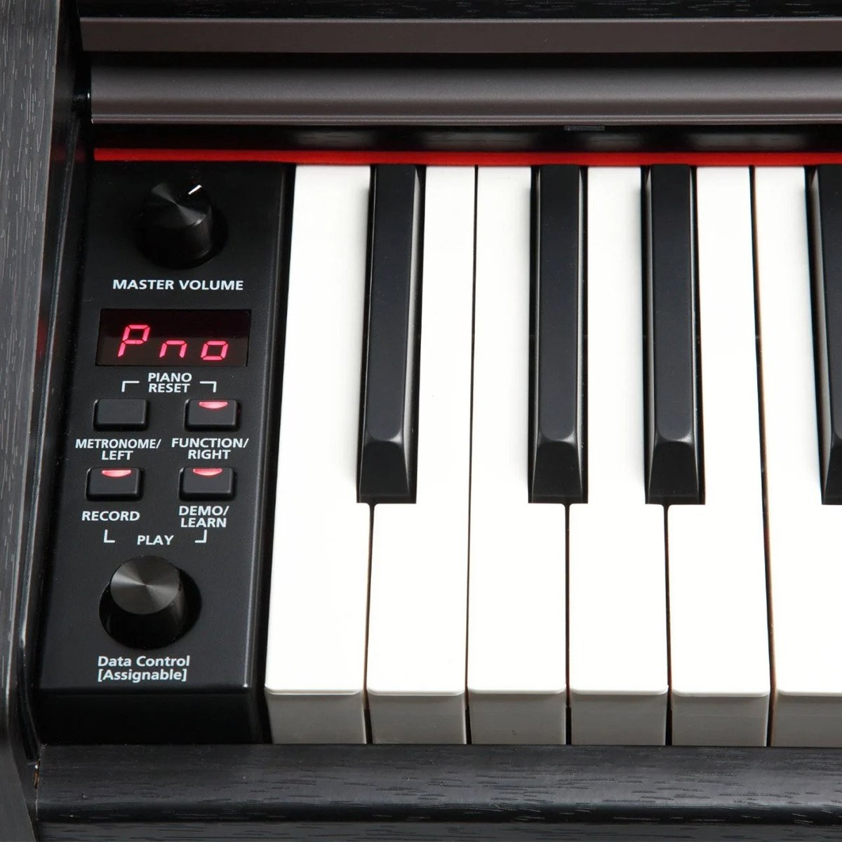 Kurzweil M90 SR Gülağacı Dijital Piyano