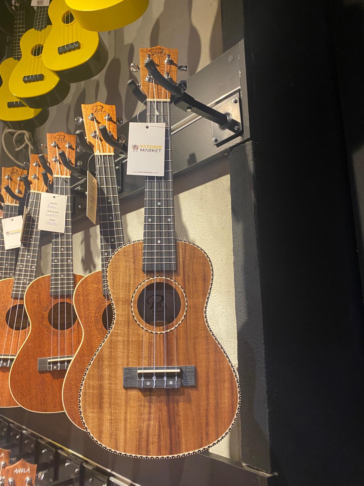 Puka Pk200 Koa Concert Ukulele