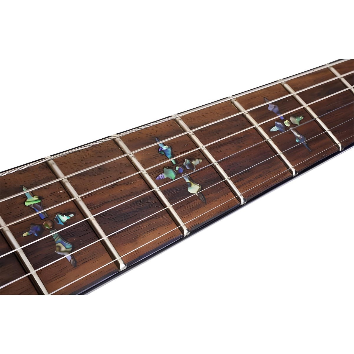 Schecter Hellraiser C-1 Elektro Gitar (Black Cherry)