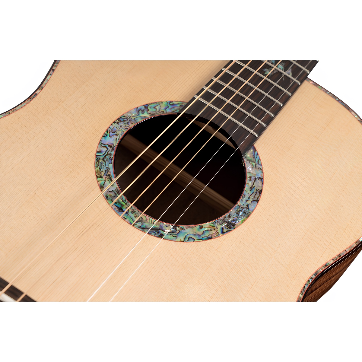 Washburn Bella Tono Elegante S24S Akustik Gitar