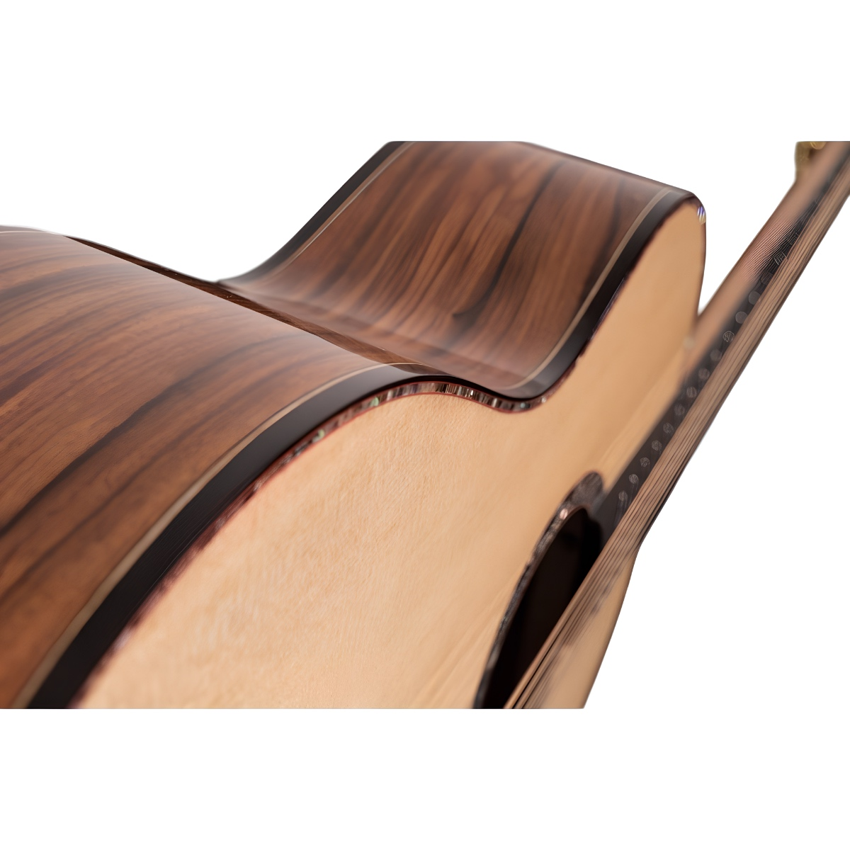 Washburn Bella Tono Elegante S24S Akustik Gitar