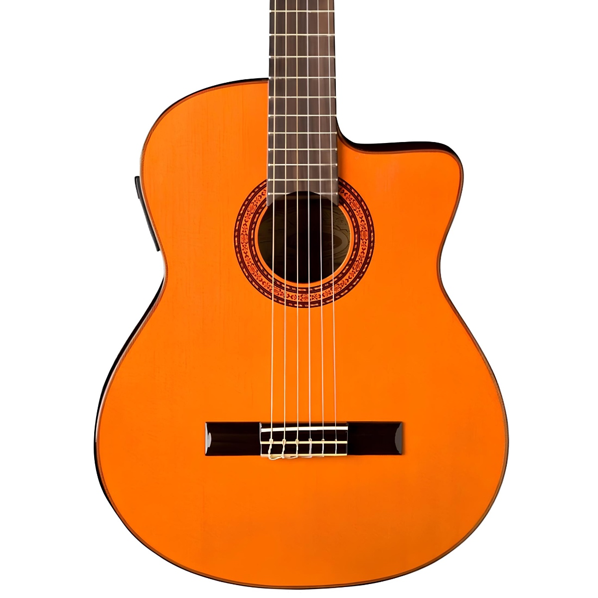 Washburn C5CE Elektro Klasik Gitar