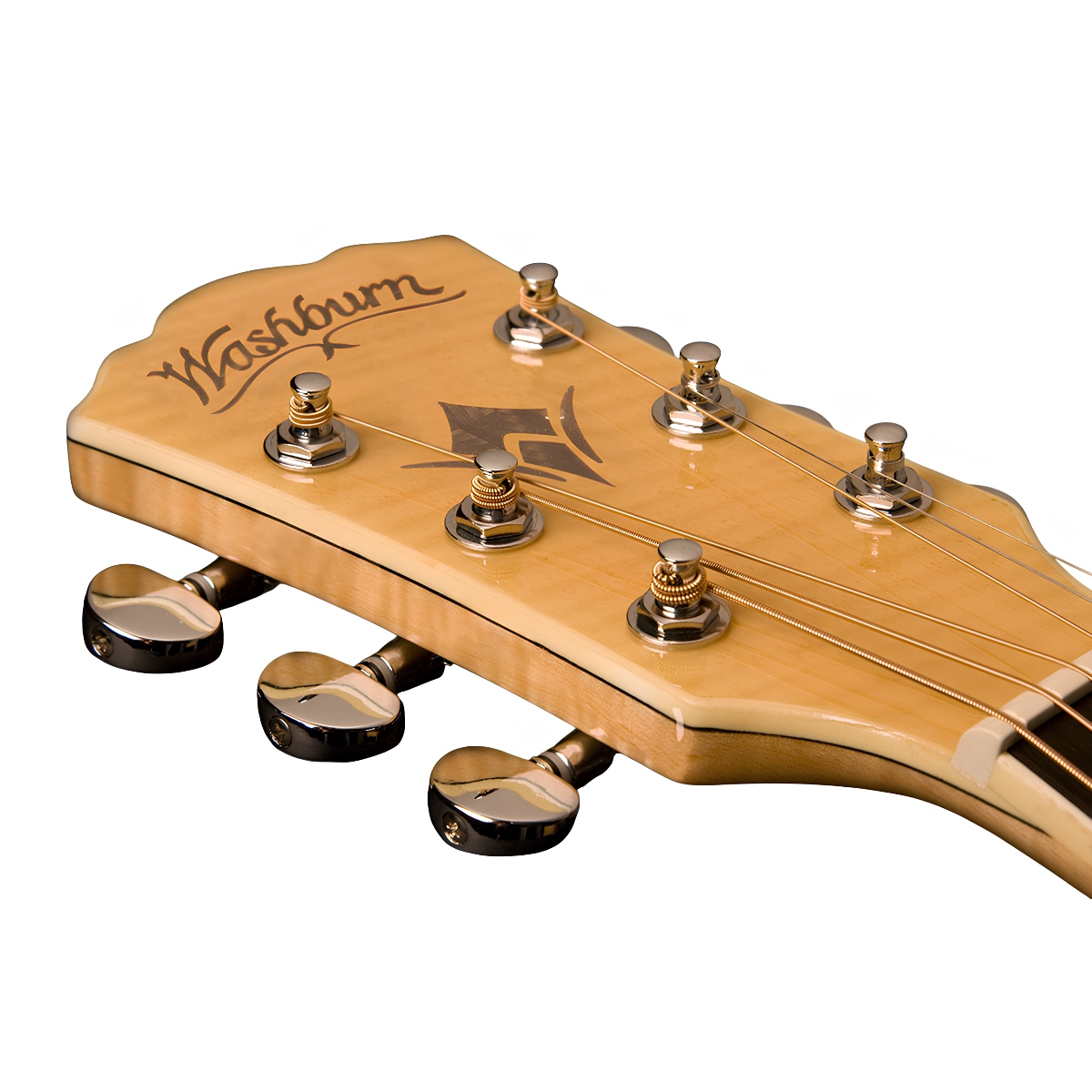 Washburn EA20 Elektro Akustik Gitar