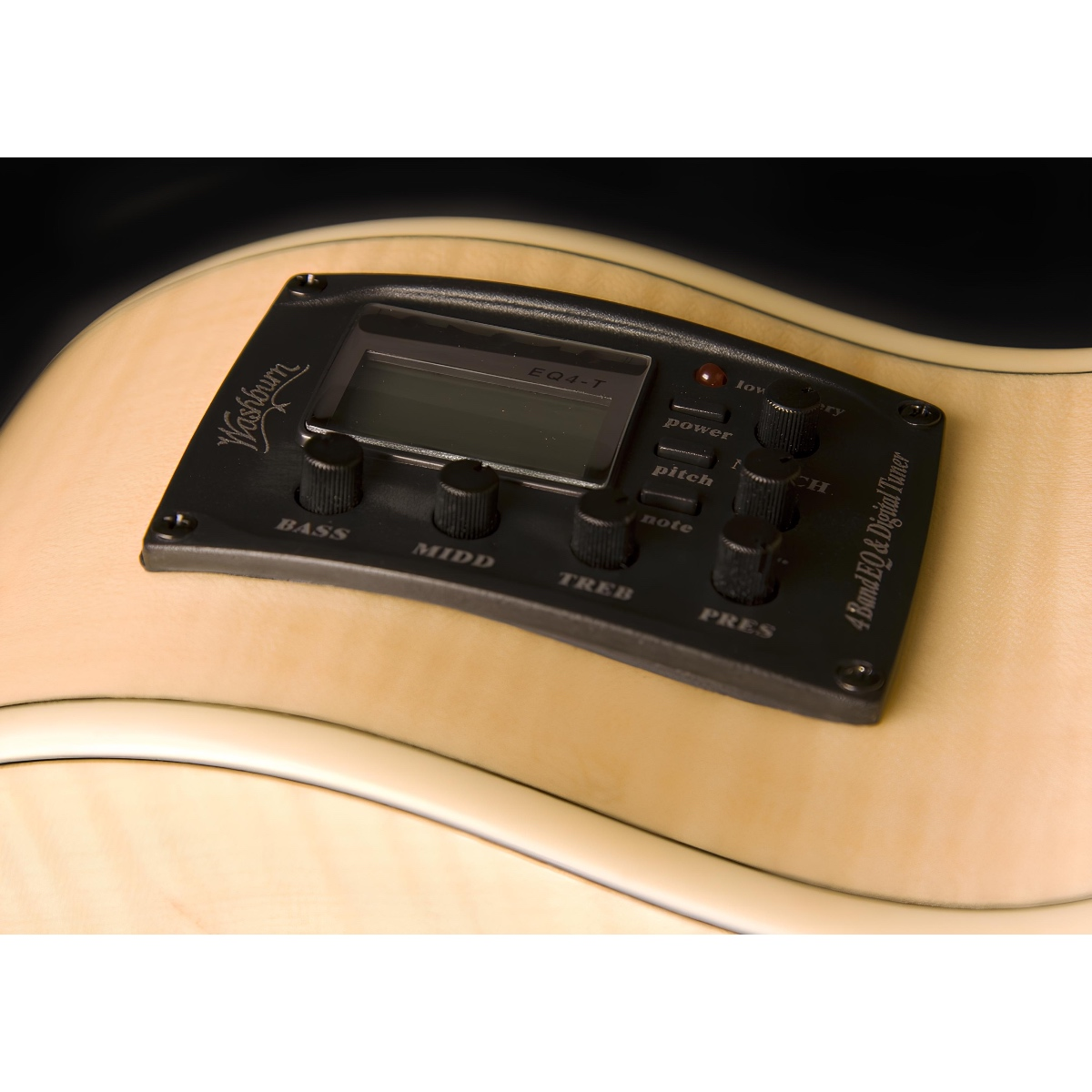 Washburn EA20 Elektro Akustik Gitar