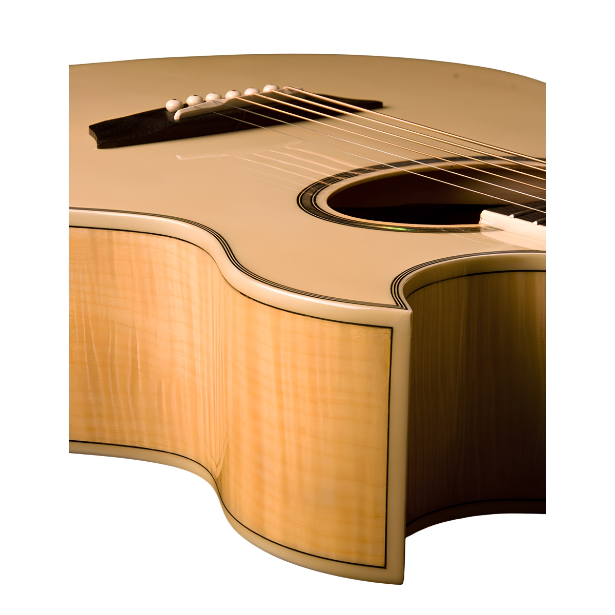Washburn EA20 Elektro Akustik Gitar