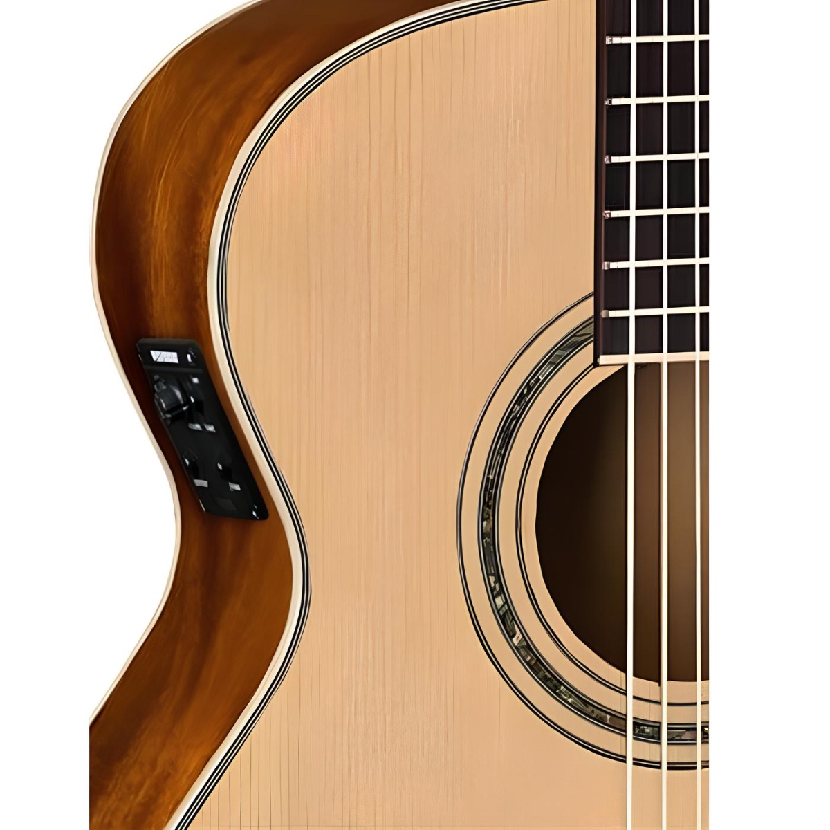 Washburn EAC12 Elektro Klasik Gitar