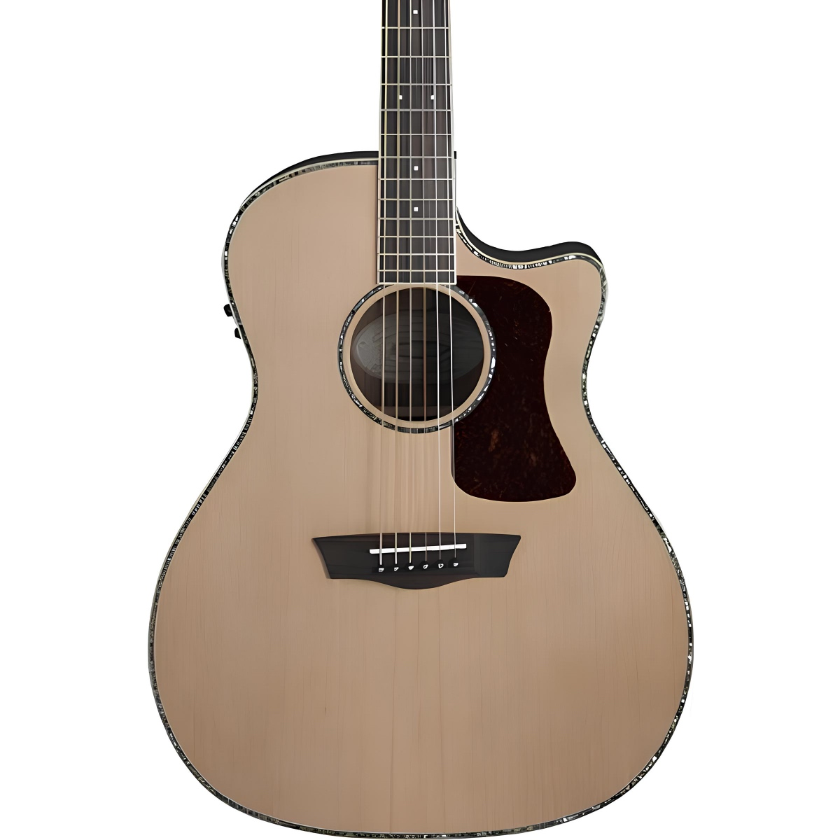 Washburn HG26SCE Heritage 20 Serisi Elektro Akustik Gitar