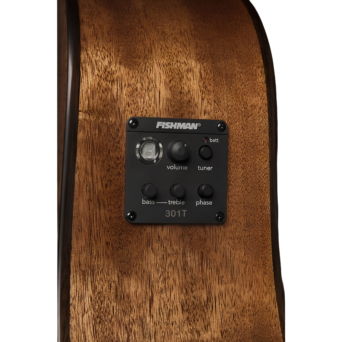 Washburn Woodline 10 Serisi WLD10SCE Elektro Akustik Gitar