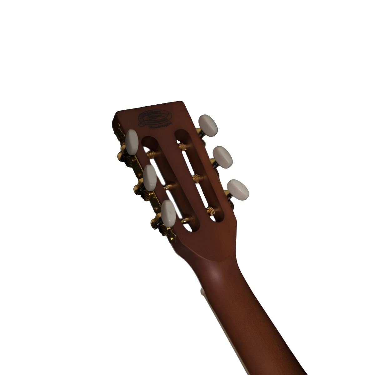 Washburn WP11SNS Harvest P11S Akustik Gitar