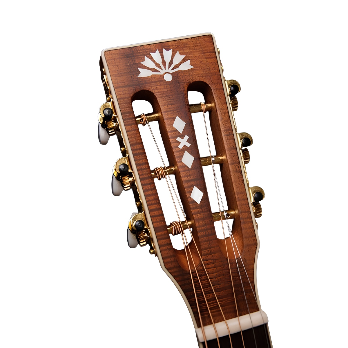Washburn WP55NS Parlor P55 Koa Akustik Gitar