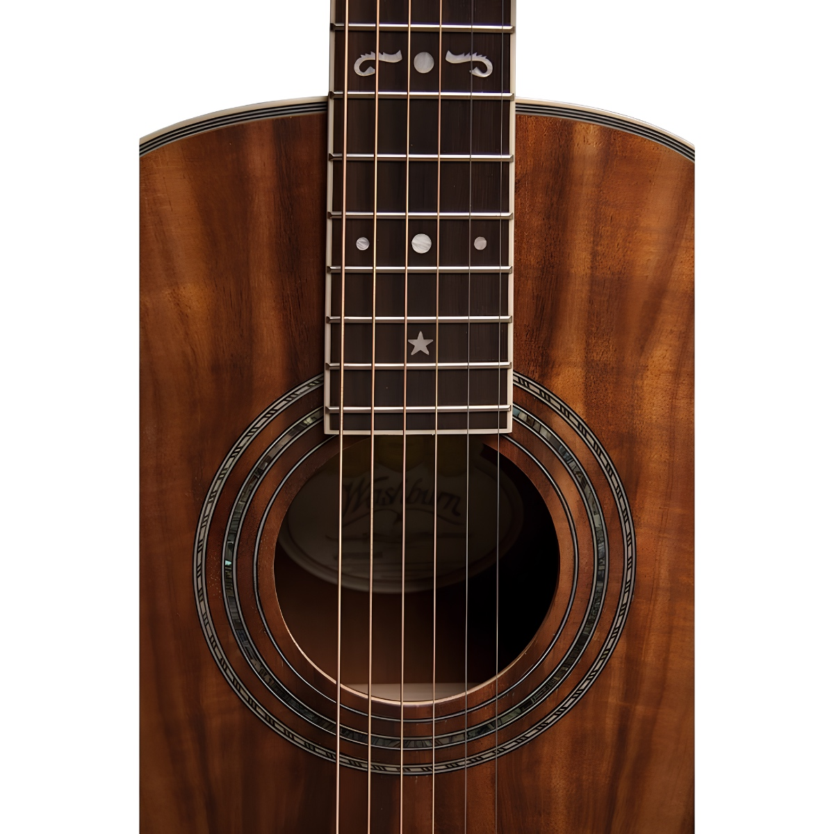 Washburn WP55NS Parlor P55 Koa Akustik Gitar
