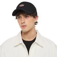 Dickies Hanston Trucker Şapka