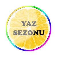 Yaz Sezonu