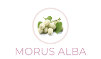 Morus Alba