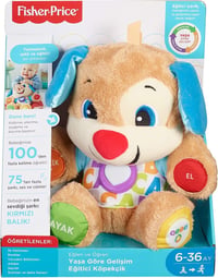 Fisher Price Eğitci Köpekçik (Türkçe)