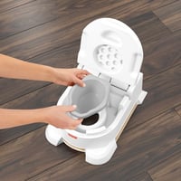 Fisher Price Platinium 4'ü 1 Arada Eğitici Tuvalet HBX68