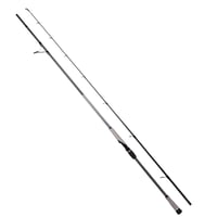Ryuji Matrix Fuji 3.00m 30-100gr 2P Shore Jig Olta Kamışı