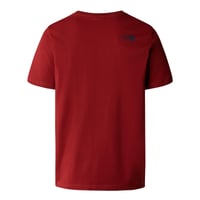 The North Face Rust 2 Erkek Tişört Iron Red